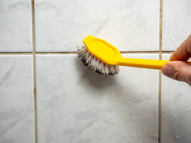 Best Certified Mold Removal  in Gibsonville, NC