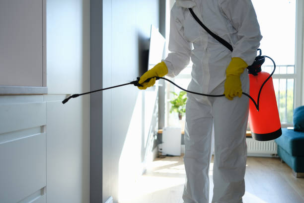 Best Mold Remediation  in Gibsonville, NC