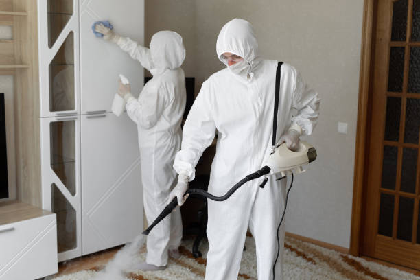 Reliable Gibsonville, NC Mold Removal Solutions