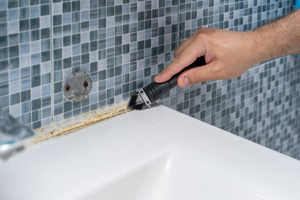 Best Emergency Mold Removal  in Gibsonville, NC
