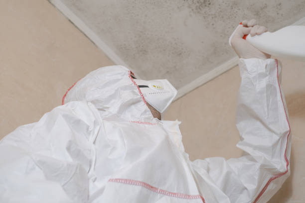 Crawl Space Mold Removal in Gibsonville, NC